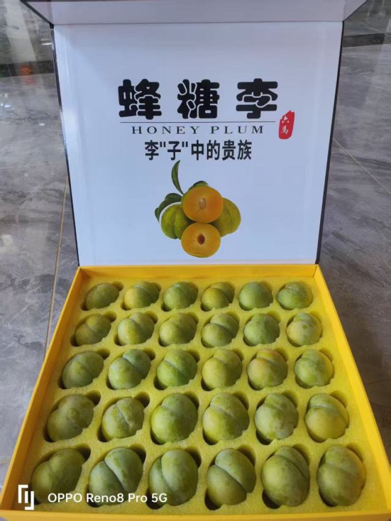 六马镇正宗蜂糖李高糖多汁皮薄肉厚产地直销现摘现发