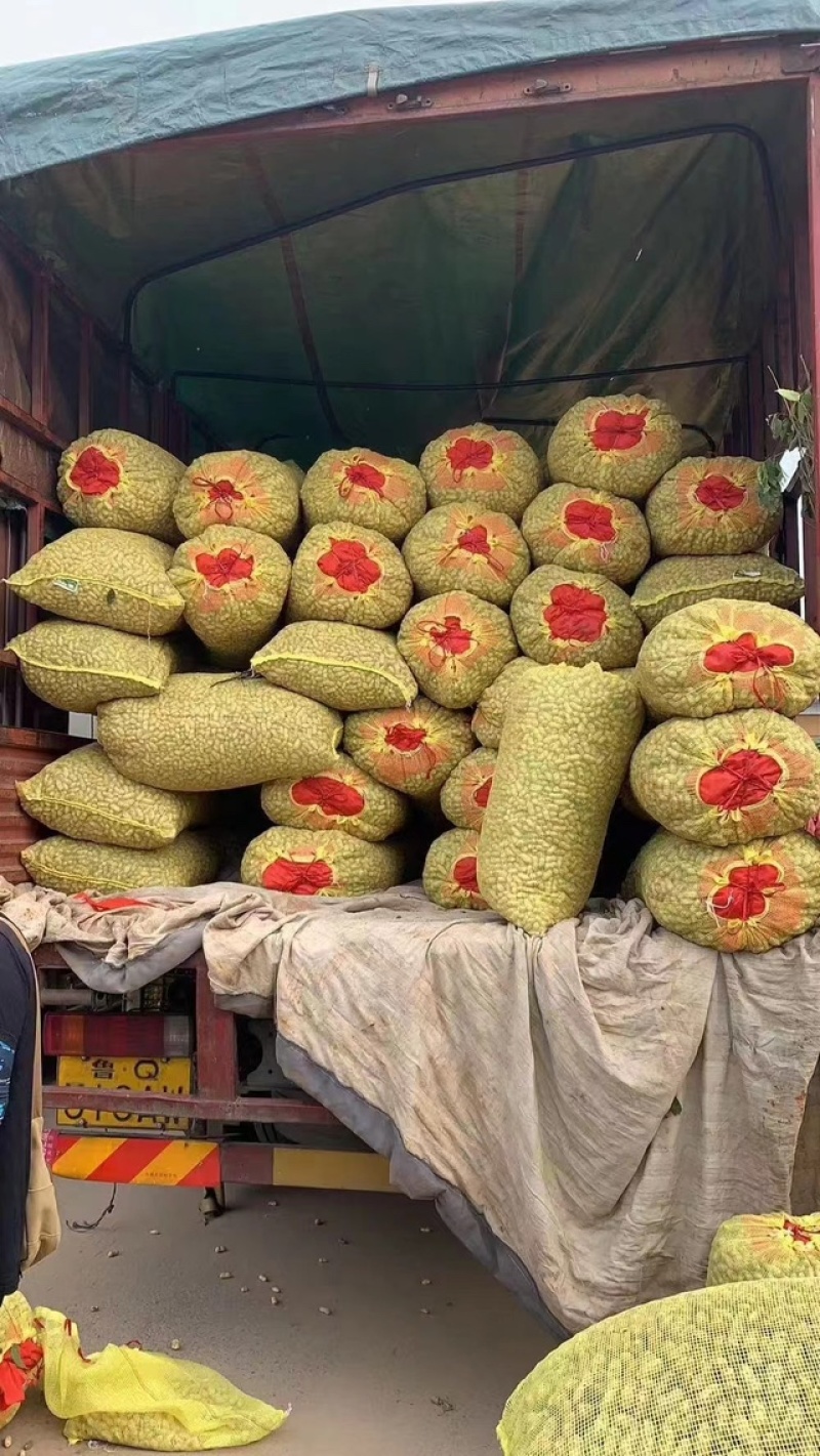 精品花生产地直发