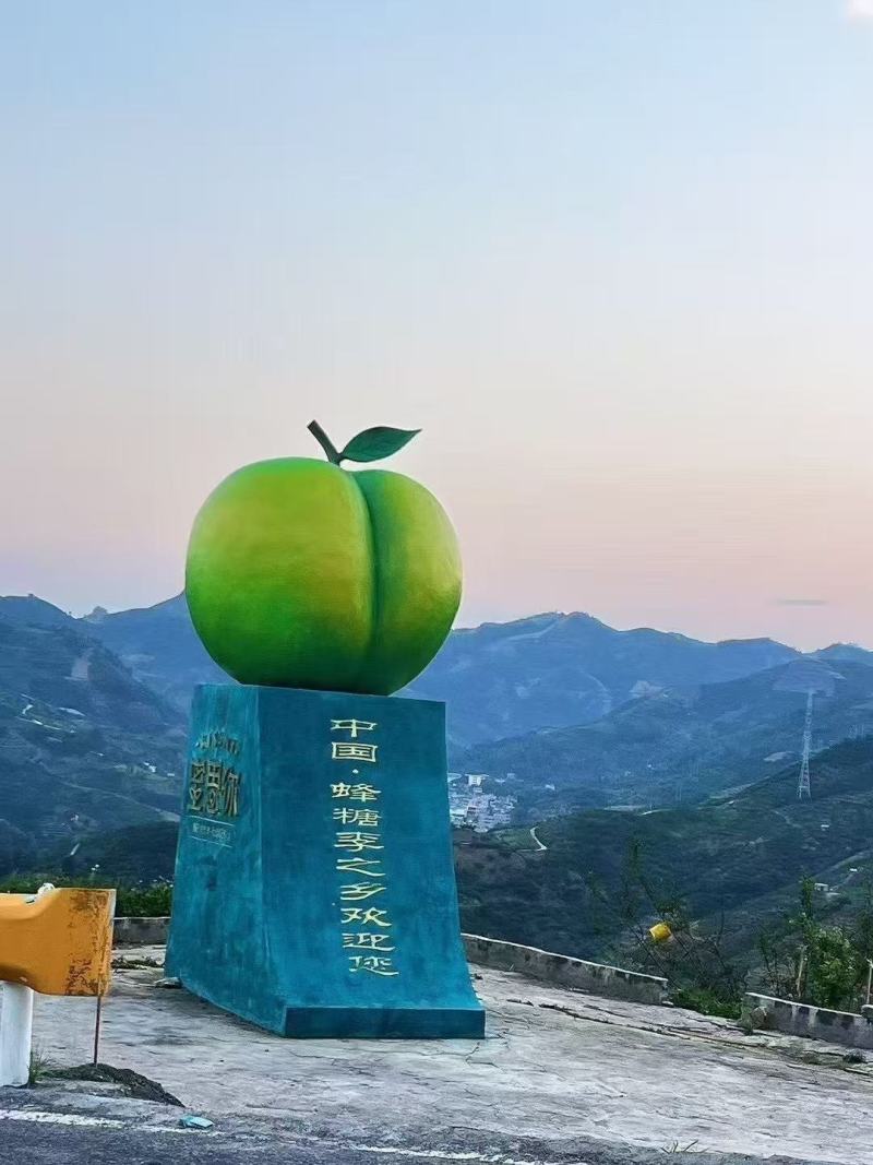 六马镇正宗蜂糖李高糖多汁皮薄肉厚产地直销现摘现发