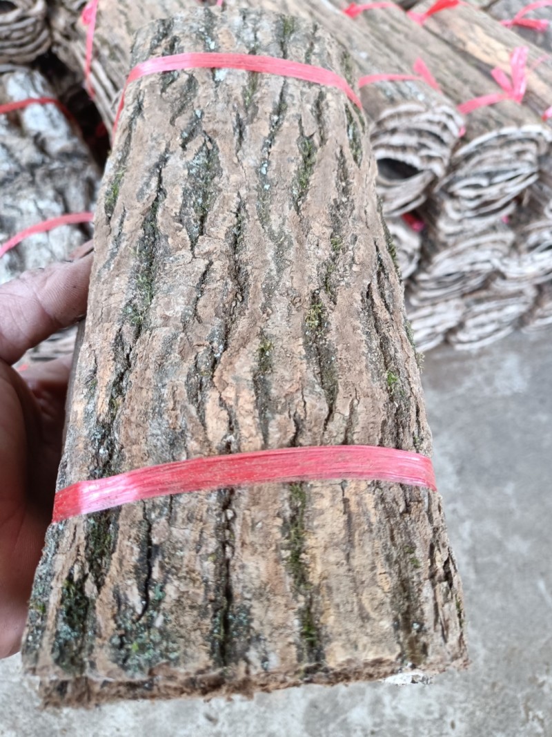 野生杜仲，杜仲皮板，皮小方块都有现货质量保证