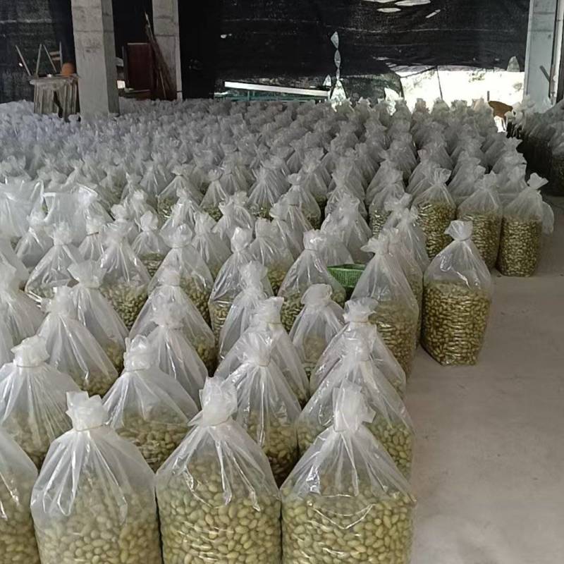福建闽清青橄榄，大中小号齐全，产地直发品质保证