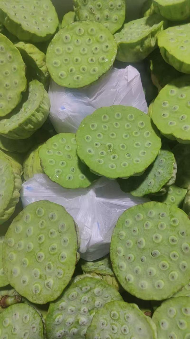 今年海南新鲜水果嫩莲蓬大量发货中基地直供全国各地