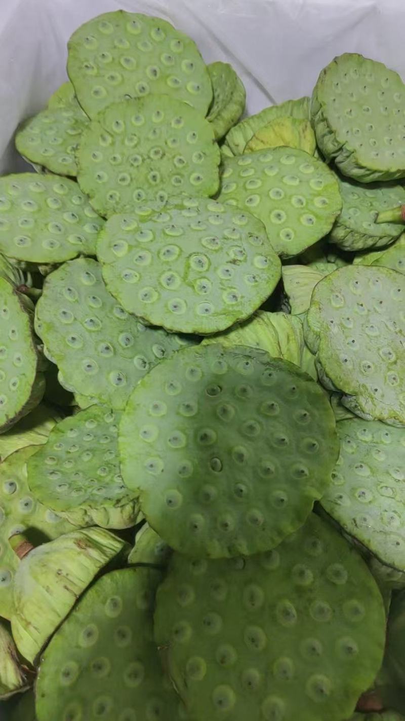 今年海南新鲜水果嫩莲蓬大量发货中基地直供全国各地