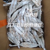 花枝虾🦐