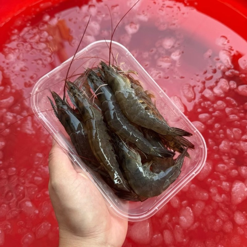 海对虾，一手货源，批发