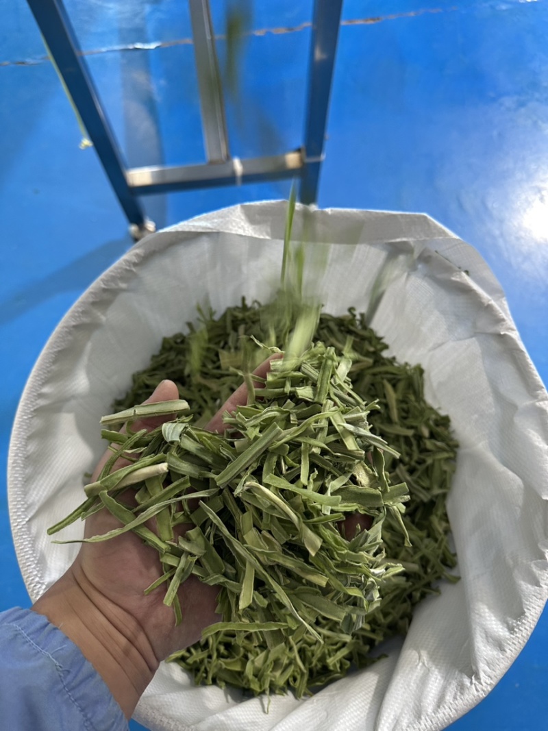 贡菜段