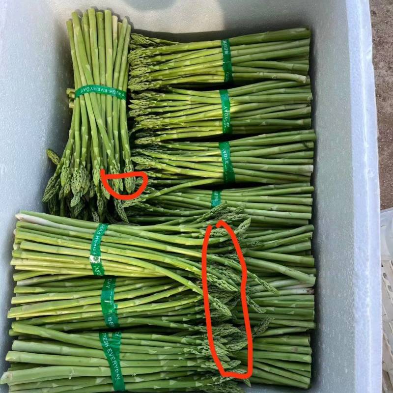 新笋老笋都有货，