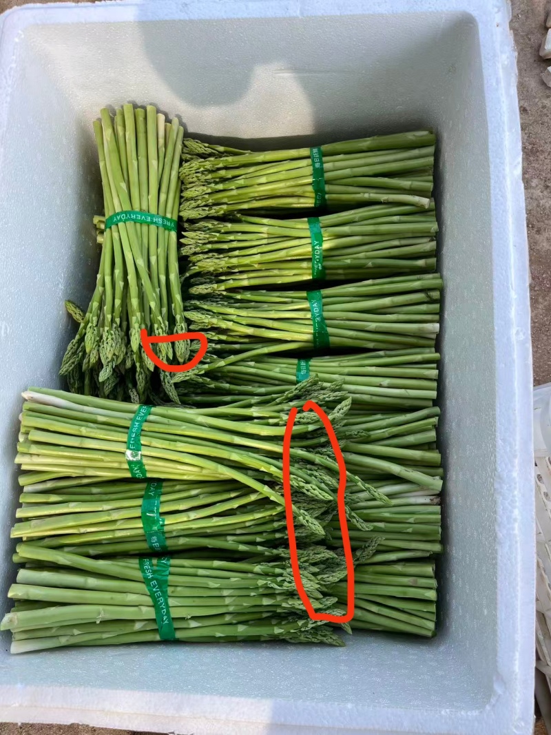 新笋老笋都有货，