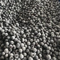 蓝莓加工果***********