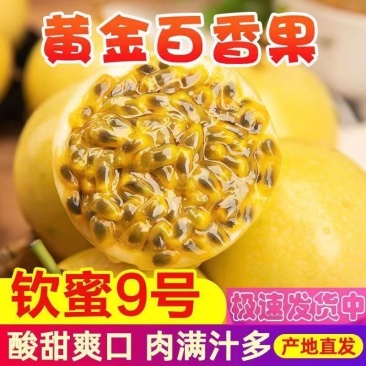 钦蜜九号黄金百香果电商一件代发产地直发