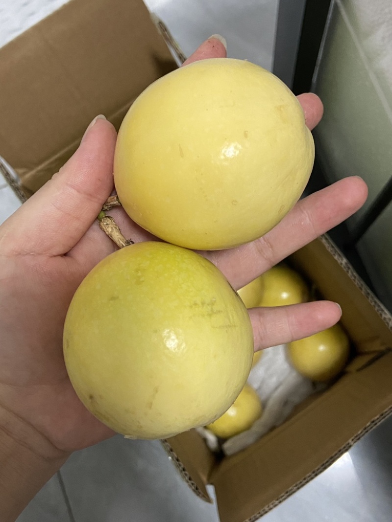 钦蜜九号黄金百香果电商一件代发产地直发