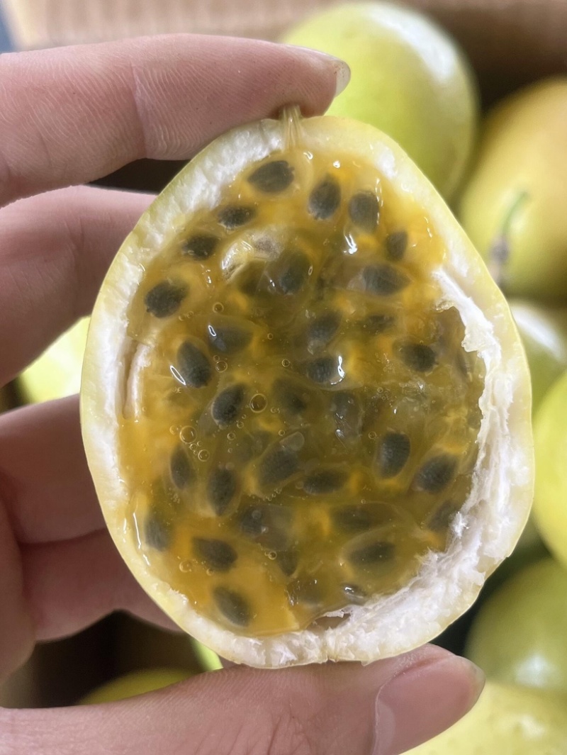 钦蜜九号黄金百香果电商一件代发产地直发