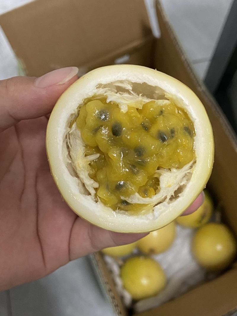 钦蜜九号黄金百香果电商一件代发产地直发