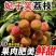 荔枝妃子笑荔枝现摘现发电商一件代发产地直发