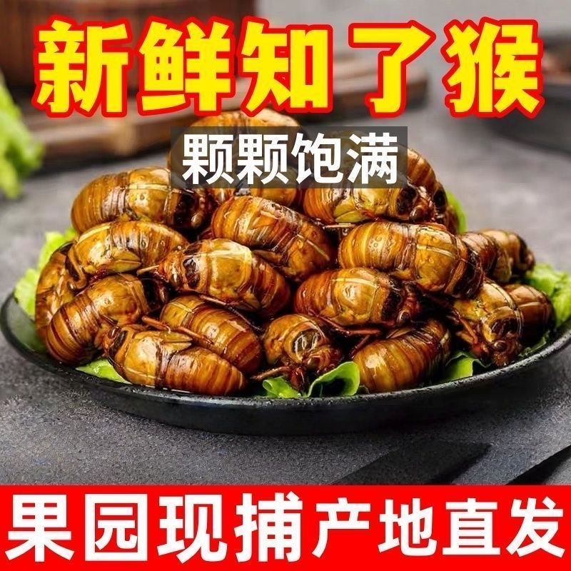 【电商代发】山东大金蝉知了猴爬叉猴电商代发