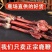 长白山鹿鞭1080天保质期男性滋补东北特产泡长白山鹿鞭