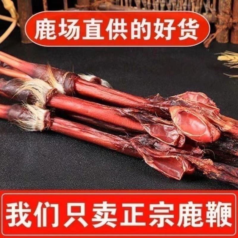 长白山鹿鞭1080天保质期男性滋补东北特产泡长白山鹿鞭