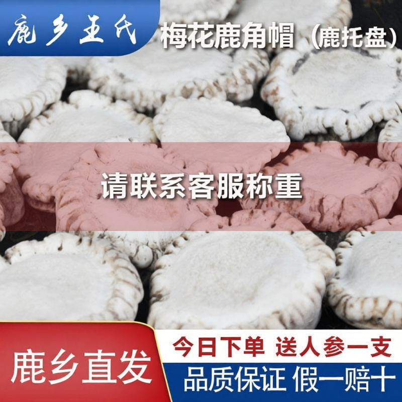 正宗吉林鹿角帽鹿角帽粉正宗双阳鹿场鹿托盘粉鹿托盘鹿角帽