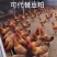 2..虫源复合蛋白下料蛋白43个适口性好可代替豆粕
