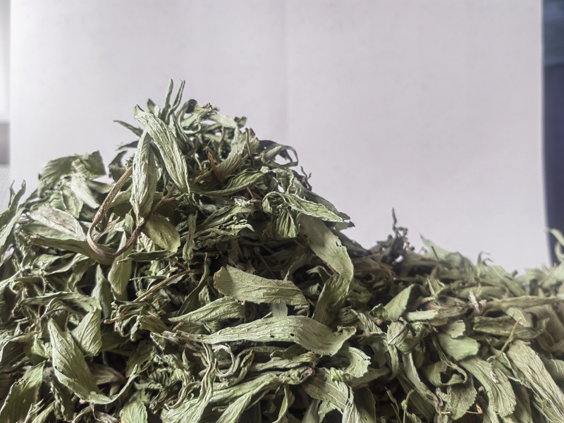 新品甜叶菊特级天然甜味花茶甜叶菊正品罐装天然花草茶泡茶水