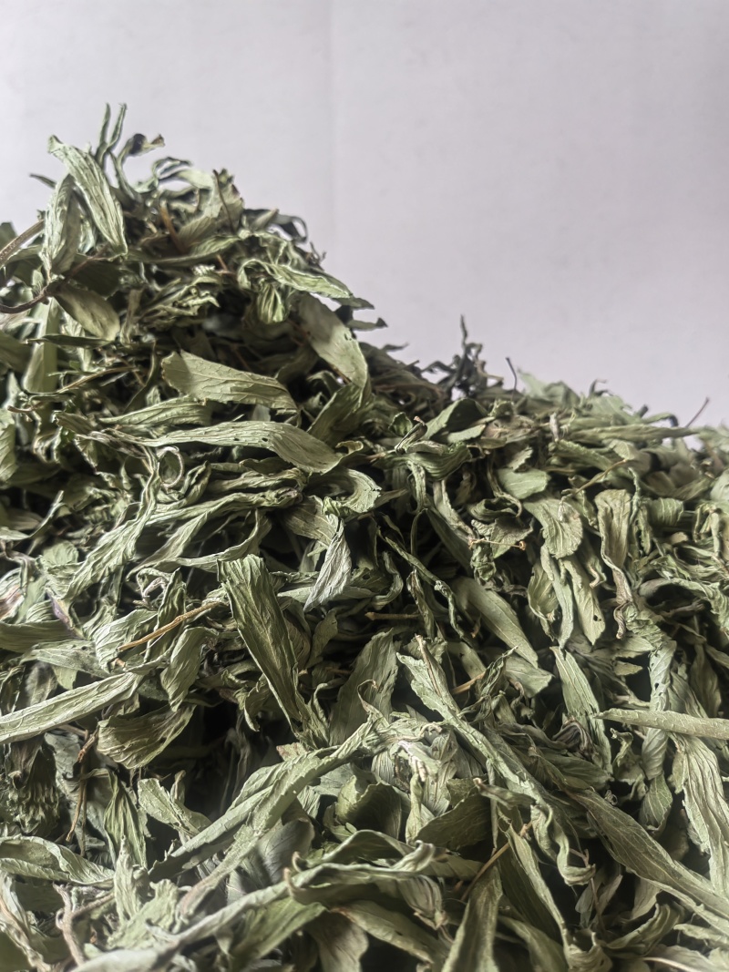 新品甜叶菊特级天然甜味花茶甜叶菊正品罐装天然花草茶泡茶水