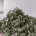 新品甜叶菊特级天然甜味花茶甜叶菊正品罐装天然花草茶泡茶水