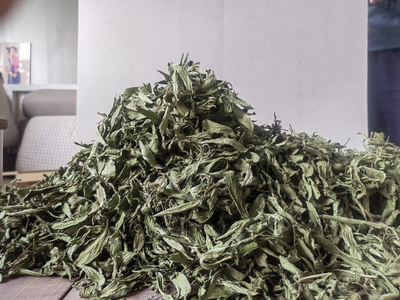 新品甜叶菊特级天然甜味花茶甜叶菊正品罐装天然花草茶泡茶水