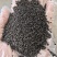新货兰香子饱腹感奇亚籽茶罗勒籽兰香籽明列子代餐干净无杂方便