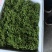 鲜花椒有机富硒鲜花椒上市了当天采摘当天发货