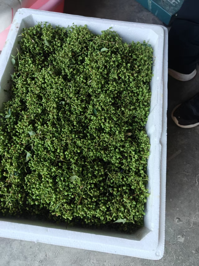 鲜花椒有机富硒鲜花椒上市了当天采摘当天发货