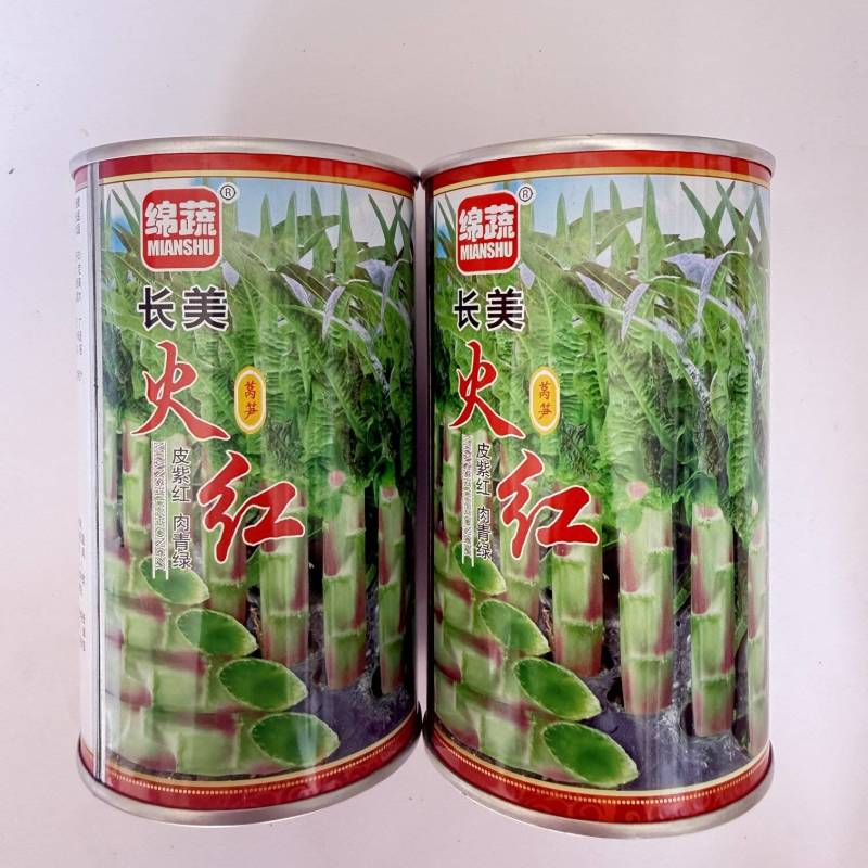 杂交尖叶莴笋种子青香绿肉莴笋种子春秋播种高产莴笋种子