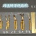 野生鲜冬虫夏草2026年正式启动