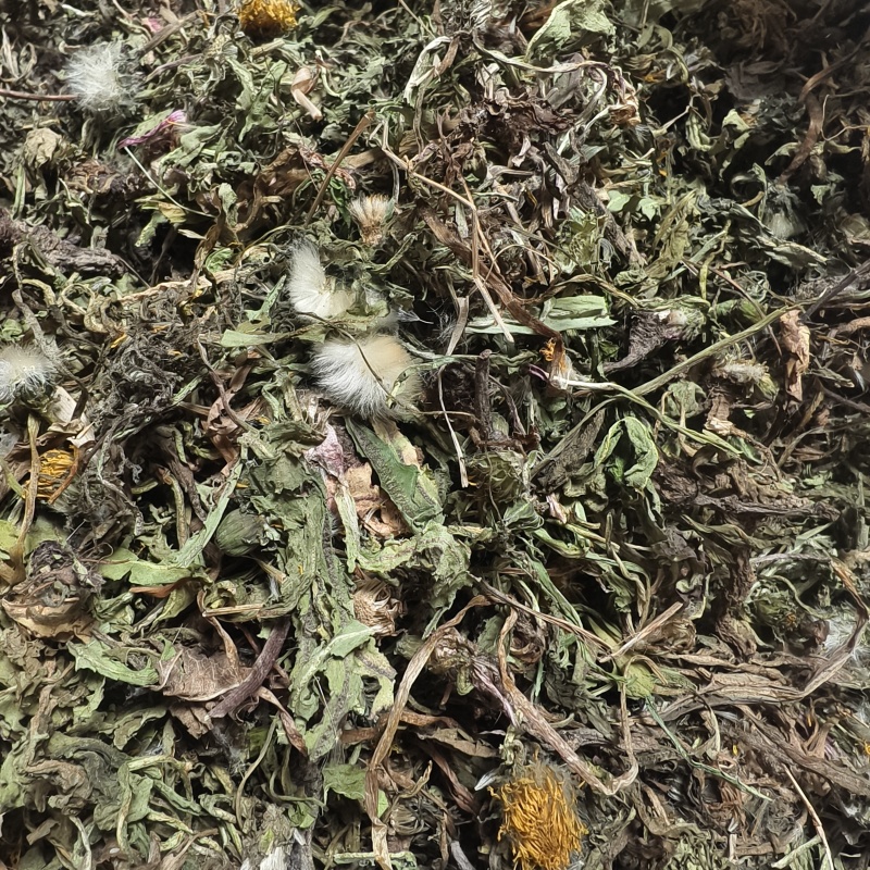 蒲公英野生蒲公英选货产地山东省地道药材紫轩堂药业