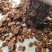 杏皮茶杏皮酸味甜味酸甜味***各种规格任选河北省蔚县