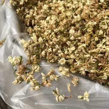茉莉花茶干花香味很足白茉莉今年新货花茶无硫拼配茶叶原料