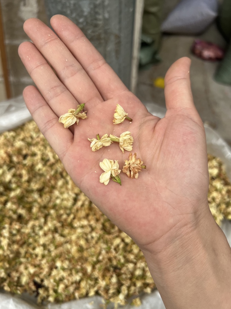 茉莉花茶干花香味很足白茉莉今年新货花茶无硫拼配茶叶原料