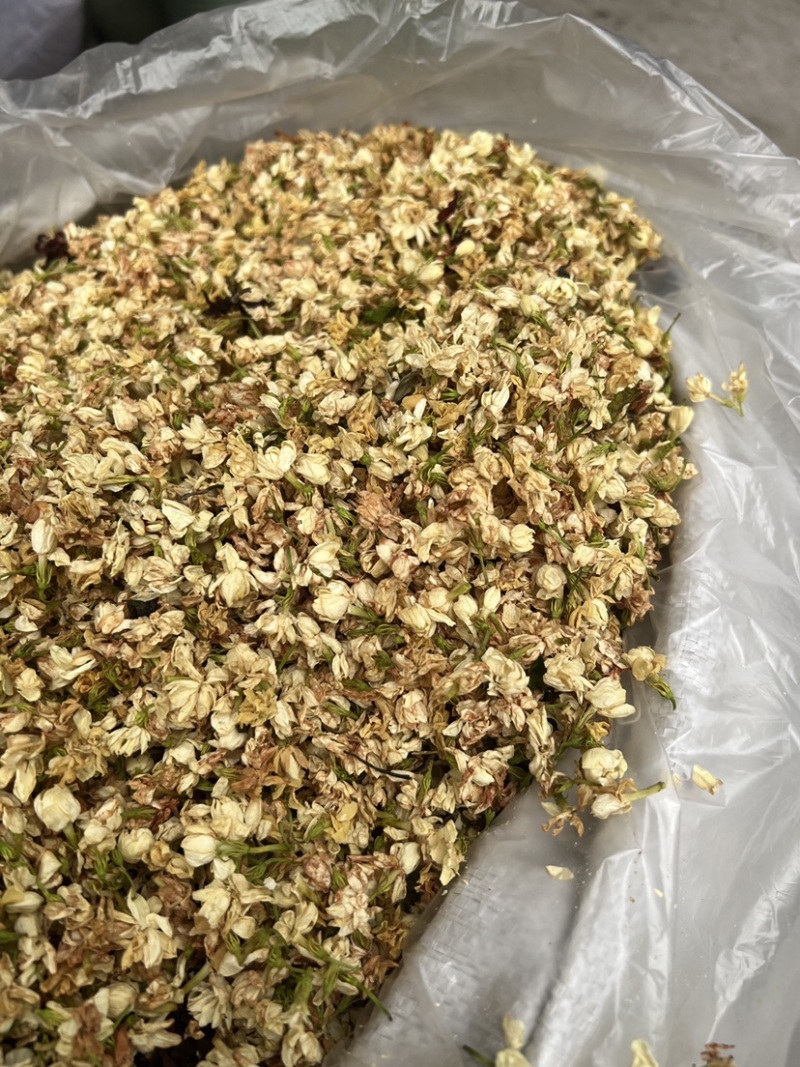 茉莉花茶干花香味很足白茉莉今年新货花茶无硫拼配茶叶原料