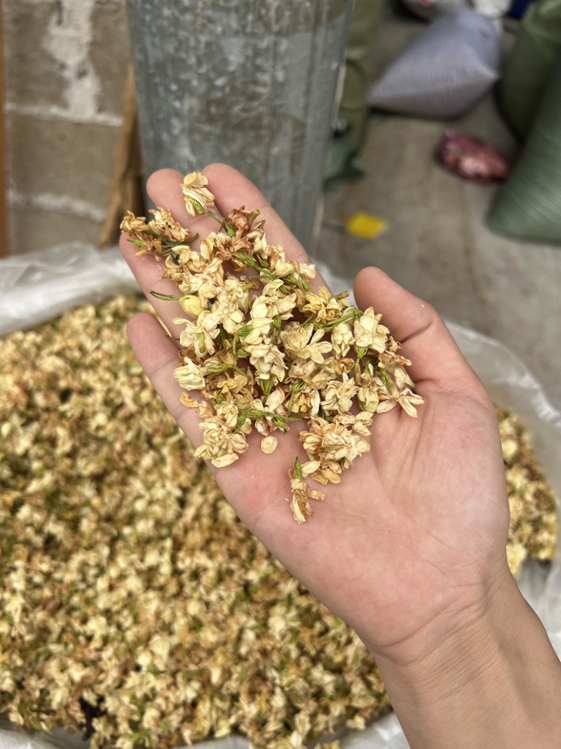茉莉花茶干花香味很足白茉莉今年新货花茶无硫拼配茶叶原料