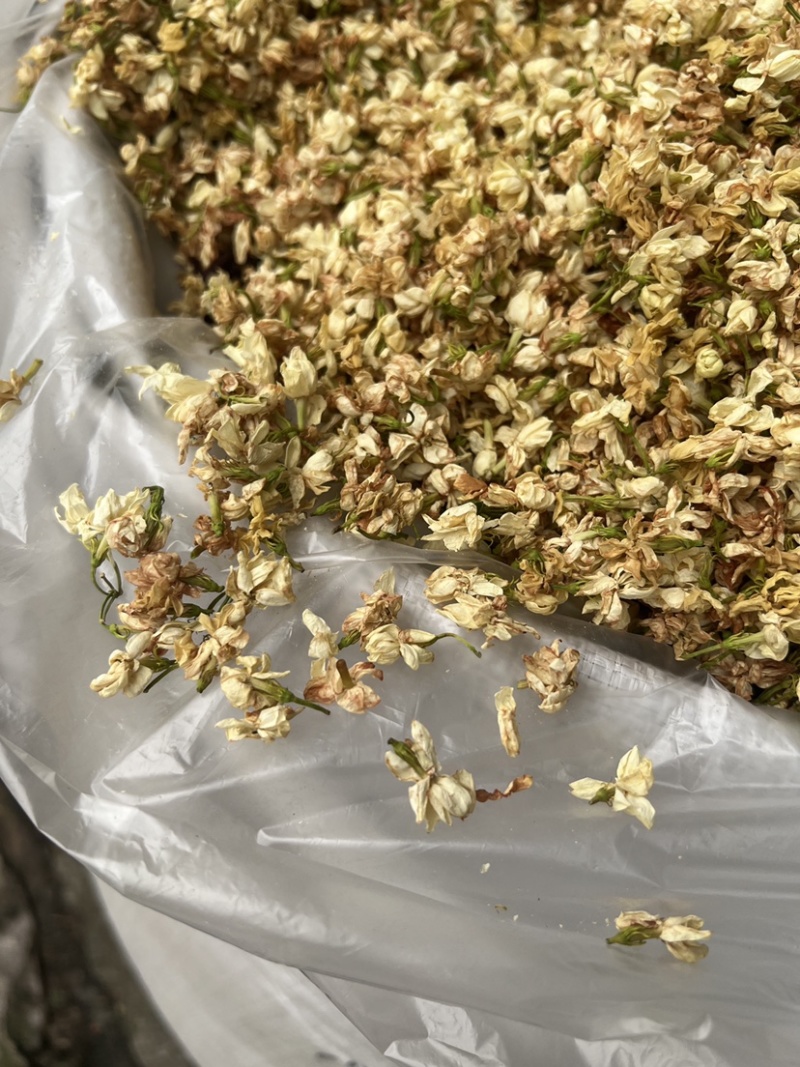 茉莉花茶干花香味很足白茉莉今年新货花茶无硫拼配茶叶原料