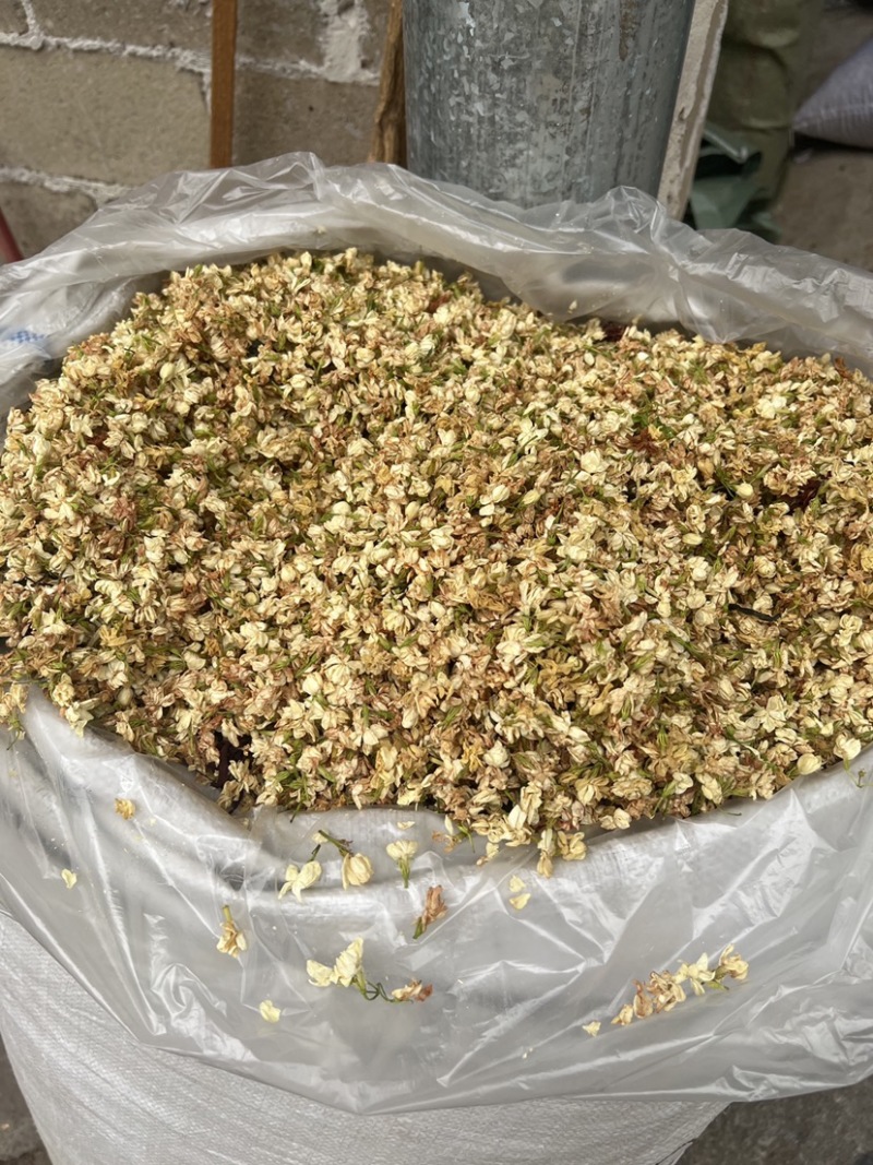 茉莉花茶干花香味很足白茉莉今年新货花茶无硫拼配茶叶原料