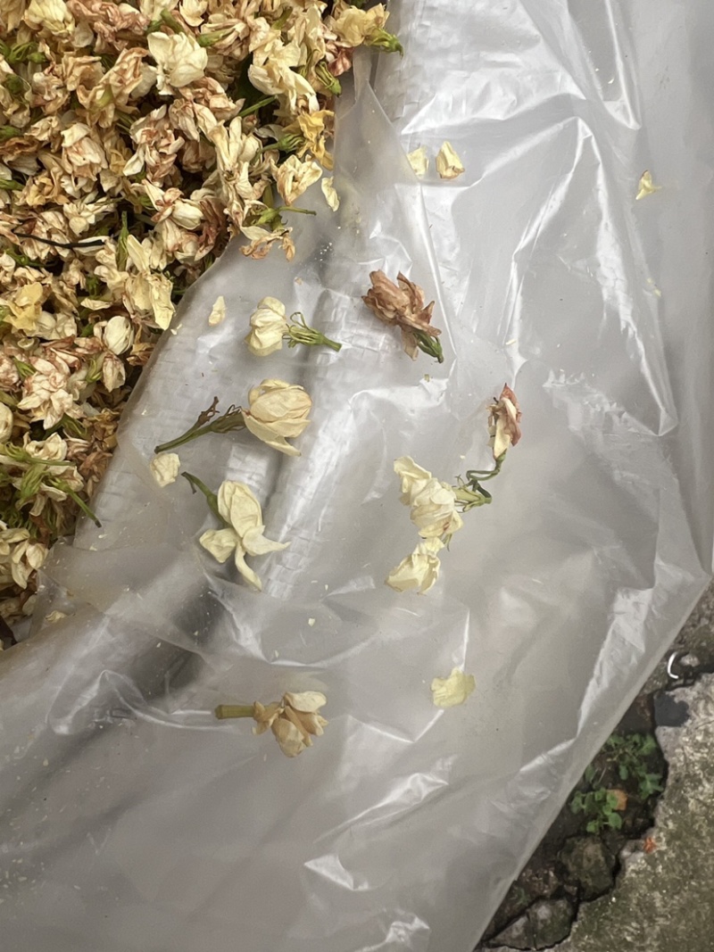 茉莉花茶干花香味很足白茉莉今年新货花茶无硫拼配茶叶原料