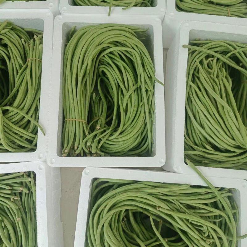 青条豆角新鲜长豆角高山豆角保质保量现采现装