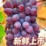 云南高原茉莉香葡萄质量保证产地直发货欢迎咨询