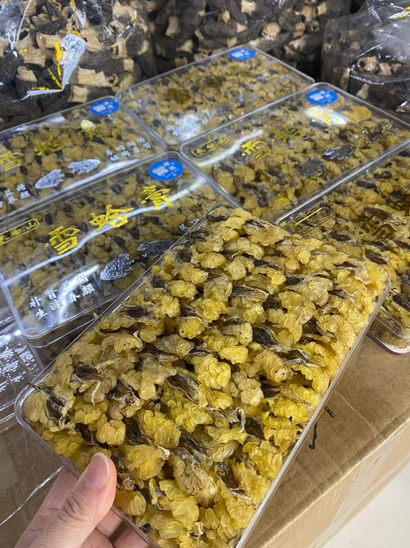 雪蛤油长白山雪蛤传统滋补品蛤干雪蛤膏蛤蟆油批发