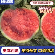 精品美都西瓜无籽对接全国包熟包甜量大价优