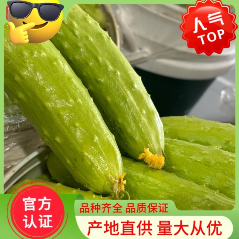 白玉黄瓜一件代发。社团上车