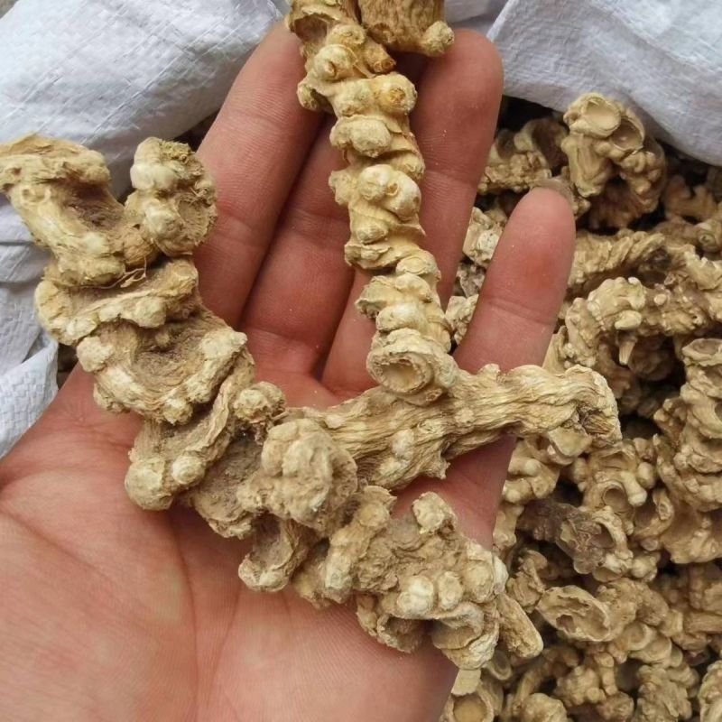 竹节参中药材正品竹节参干净无硫正品中药材