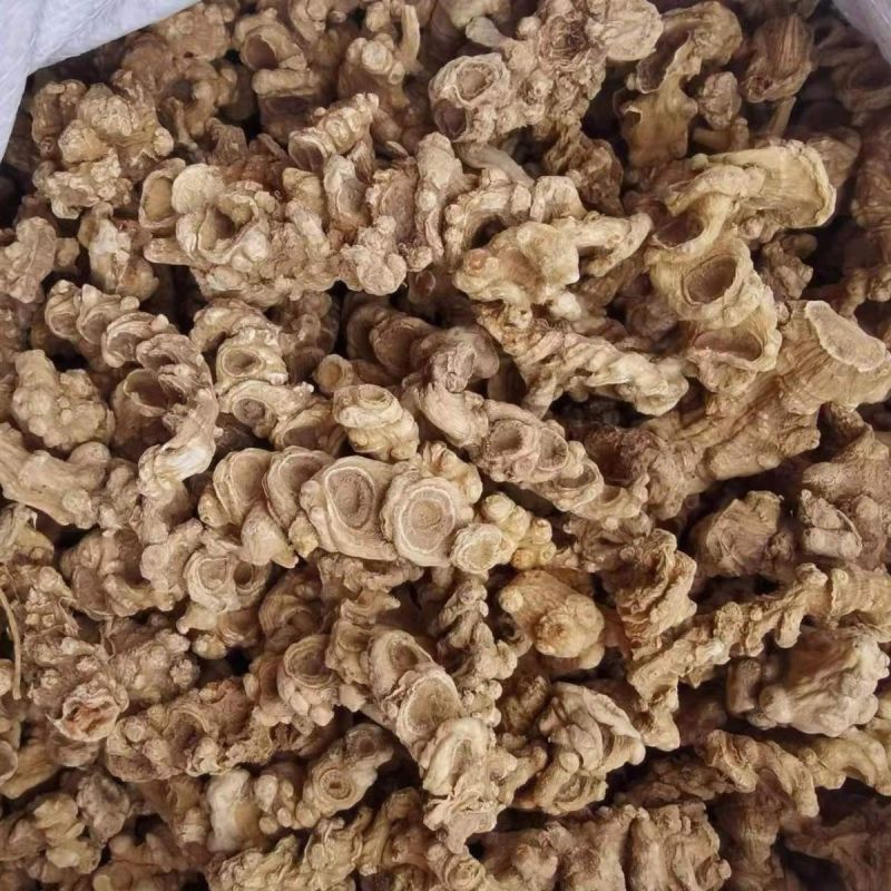 竹节参中药材正品竹节参干净无硫正品中药材