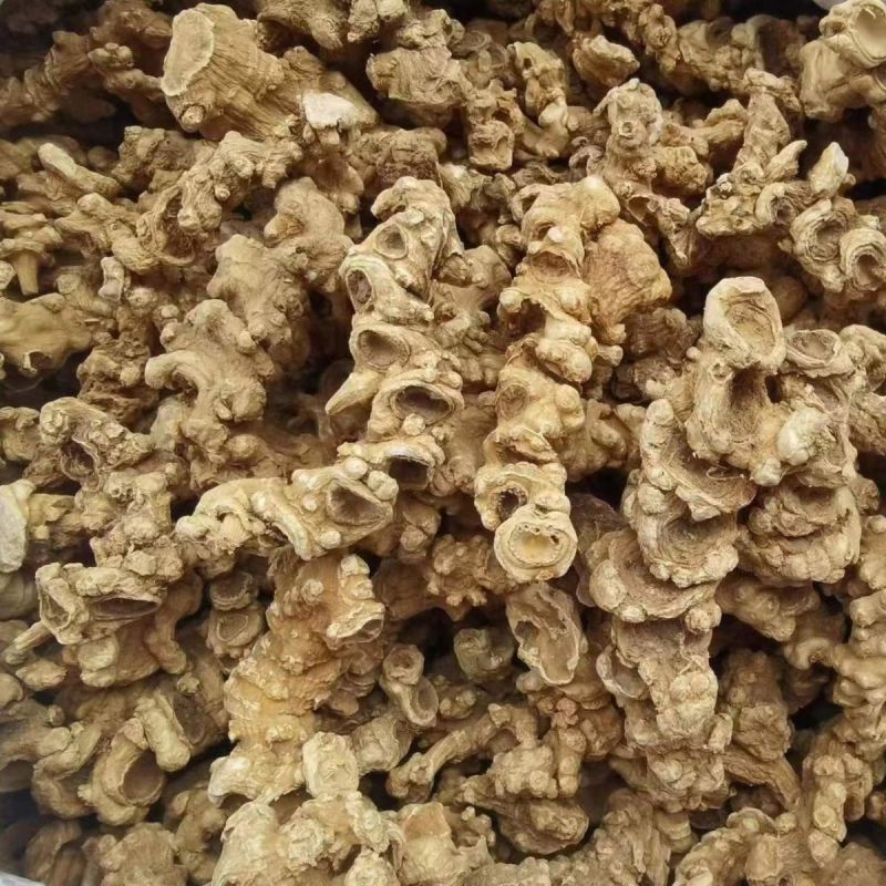 竹节参中药材正品竹节参干净无硫正品中药材