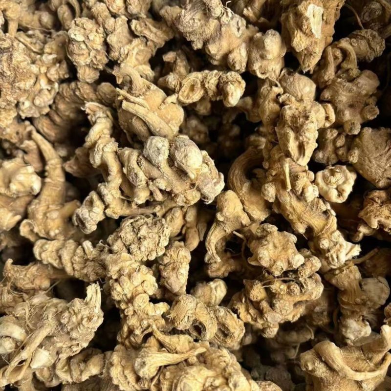 竹节参中药材正品竹节参干净无硫正品中药材